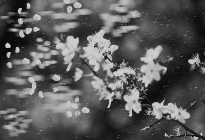 Прикрепленное изображение: _Qj6MrF0nso.jpg